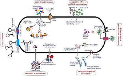 Emerging Strategies to Combat ESKAPE Pathogens in the Era of Antimicrobial Resistance: A Review